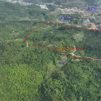 1.1億噸、500萬噸/年！浙江衢州12.3億元掛牌出讓灰巖礦